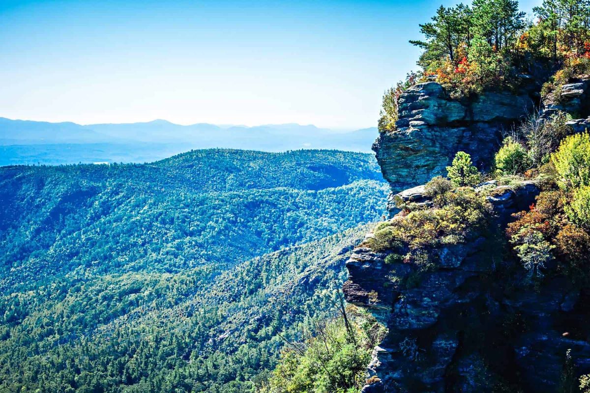mountain in summer